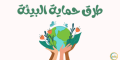 طرق حماية البيئة 6 لحياة أكثر استدامة
