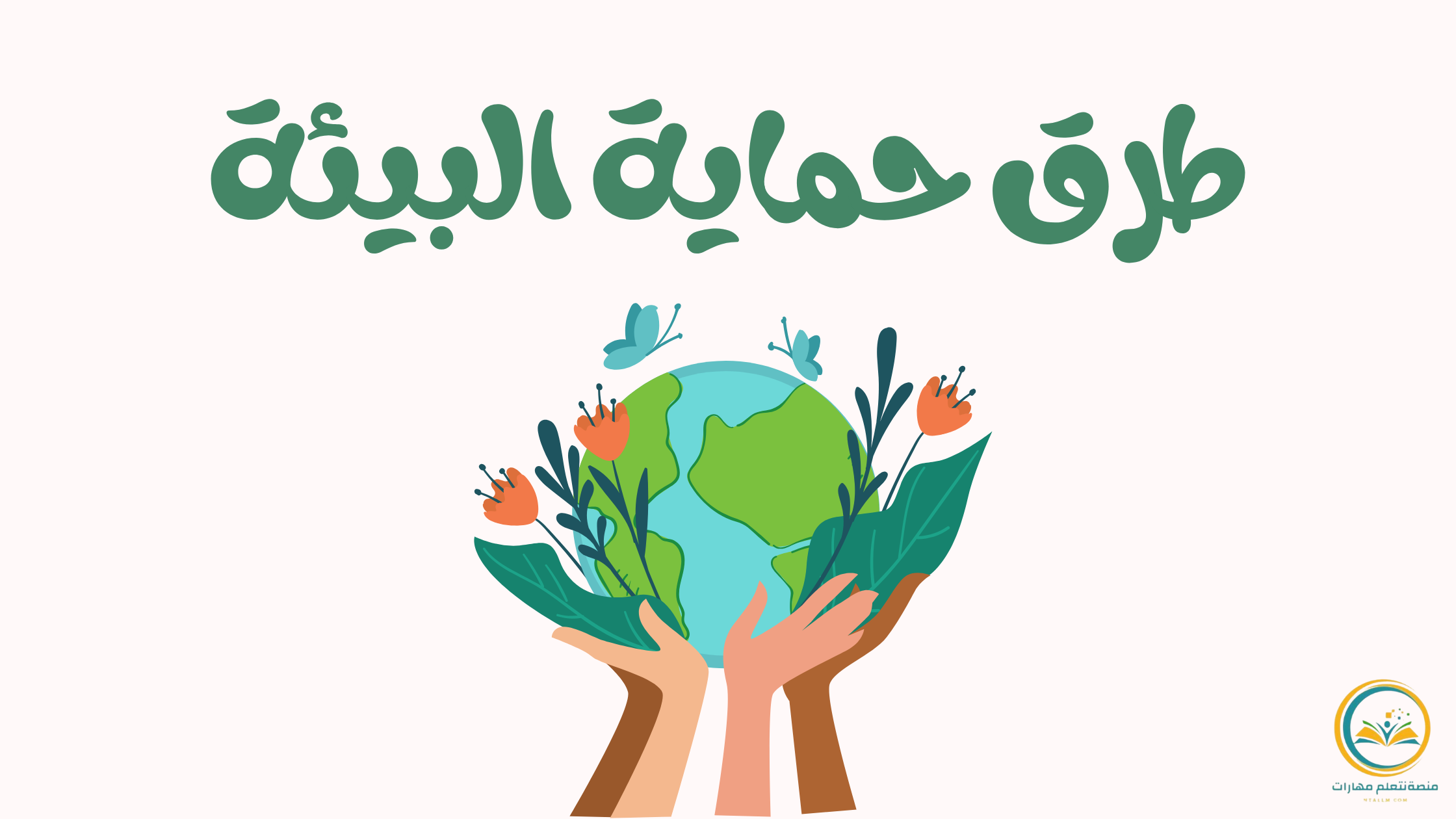 طرق حماية البيئة 6 لحياة أكثر استدامة